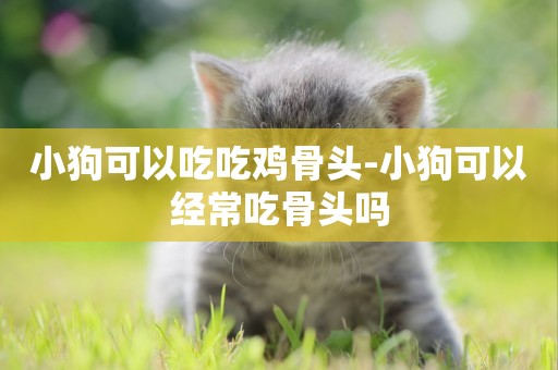 小狗可以吃吃雞骨頭-小狗可以經常吃骨頭嗎
