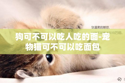 狗可不可以吃人吃的面-寵物貓可不可以吃面包