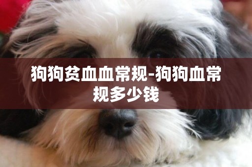 狗狗貧血血常規-狗狗血常規多少錢