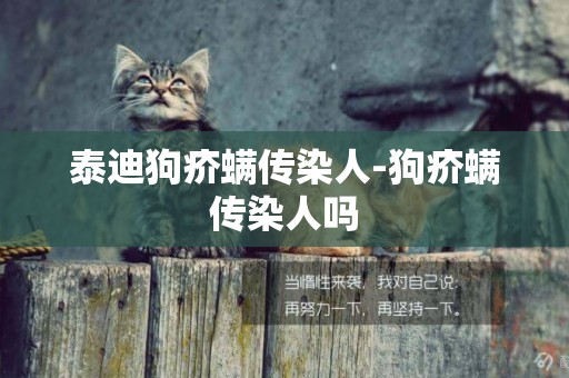 泰迪狗疥螨傳染人-狗疥螨傳染人嗎