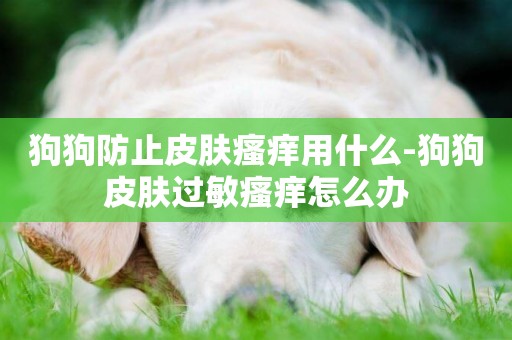 狗狗防止皮膚瘙癢用什么-狗狗皮膚過敏瘙癢怎么辦