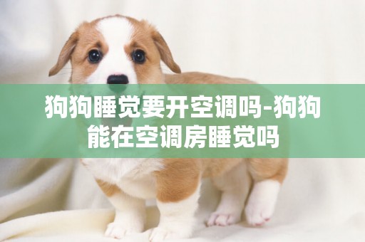 狗狗睡覺要開空調嗎-狗狗能在空調房睡覺嗎