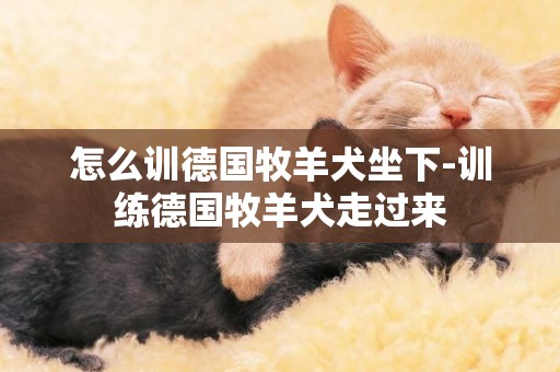 怎么訓德國牧羊犬坐下-訓練德國牧羊犬走過來