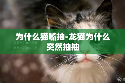 為什么貓嘴抽-龍貓為什么突然抽抽
