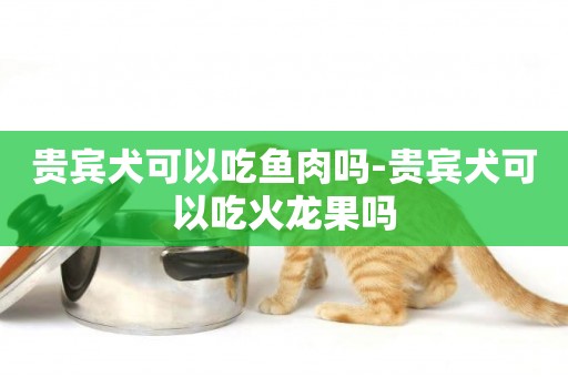 貴賓犬可以吃魚肉嗎-貴賓犬可以吃火龍果嗎