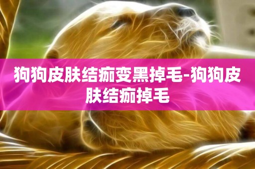 狗狗皮膚結痂變黑掉毛-狗狗皮膚結痂掉毛