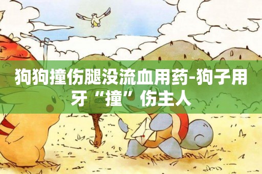 狗狗撞傷腿沒流血用藥-狗子用牙“撞”傷主人
