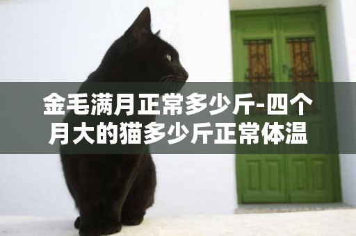 金毛滿月正常多少斤-四個月大的貓多少斤正常體溫