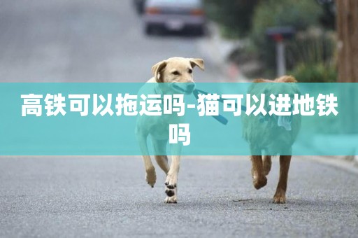 高鐵可以拖運嗎-貓可以進地鐵嗎