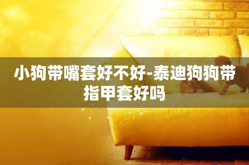 小狗帶嘴套好不好-泰迪狗狗帶指甲套好嗎
