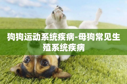 狗狗運動系統疾病-母狗常見生殖系統疾病