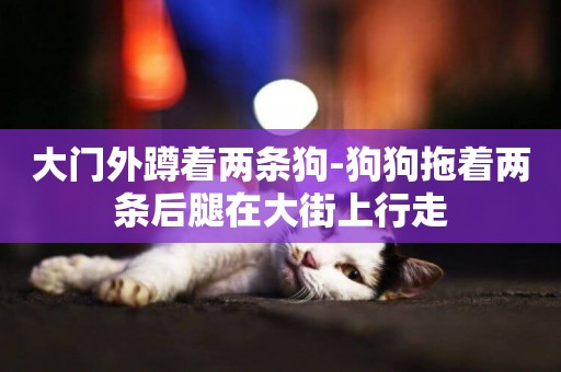 大門外蹲著兩條狗-狗狗拖著兩條后腿在大街上行走