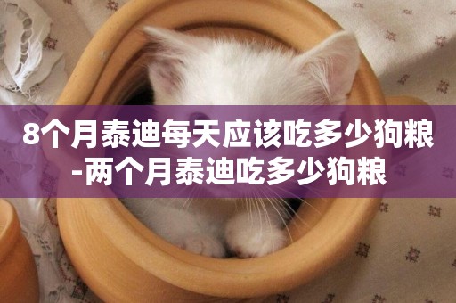 8個月泰迪每天應該吃多少狗糧-兩個月泰迪吃多少狗糧