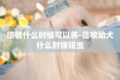 德牧什么時候可以養-德牧幼犬什么時候驅蟲
