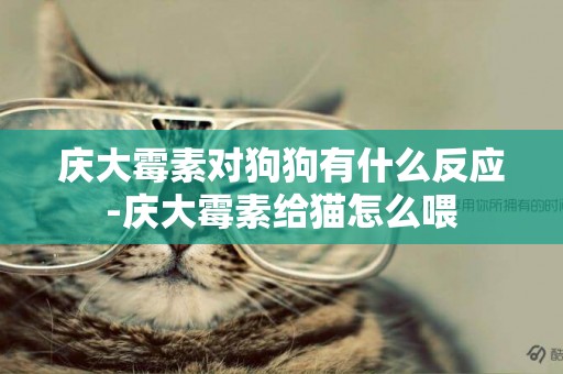 慶大霉素對狗狗有什么反應-慶大霉素給貓怎么喂