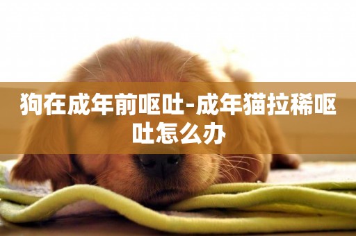 狗在成年前嘔吐-成年貓拉稀嘔吐怎么辦