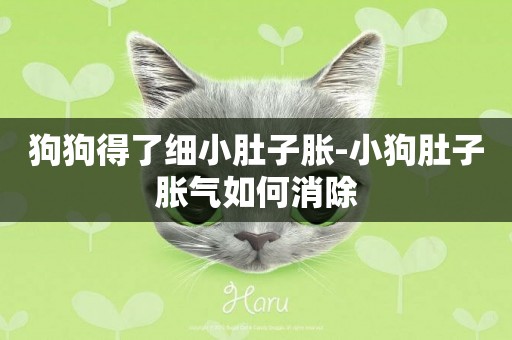 狗狗得了細小肚子脹-小狗肚子脹氣如何消除