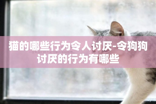 貓的哪些行為令人討厭-令狗狗討厭的行為有哪些