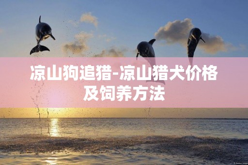 涼山狗追獵-涼山獵犬價格及飼養方法