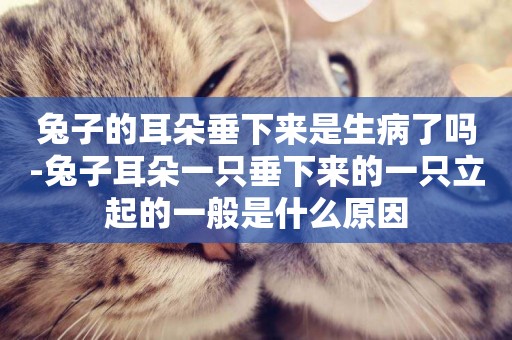 兔子的耳朵垂下來是生病了嗎-兔子耳朵一只垂下來的一只立起的一般是什么原因
