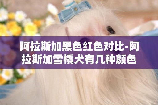 阿拉斯加黑色紅色對比-阿拉斯加雪橇犬有幾種顏色