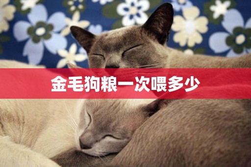 金毛狗糧一次喂多少