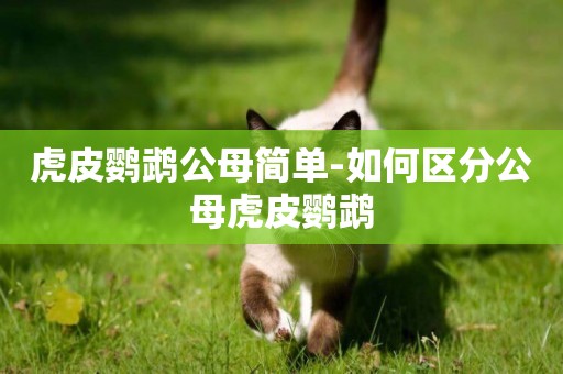 虎皮鸚鵡公母簡單-如何區分公母虎皮鸚鵡