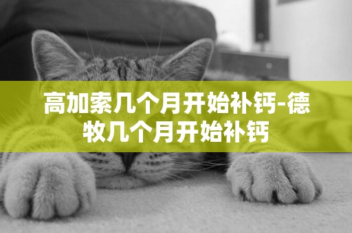 高加索幾個月開始補鈣-德牧幾個月開始補鈣