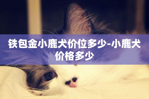 鐵包金小鹿犬價位多少-小鹿犬價格多少