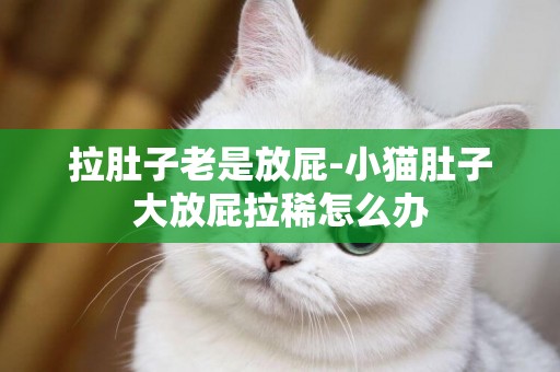 拉肚子老是放屁-小貓肚子大放屁拉稀怎么辦