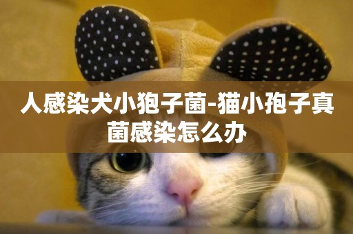 人感染犬小狍子菌-貓小孢子真菌感染怎么辦