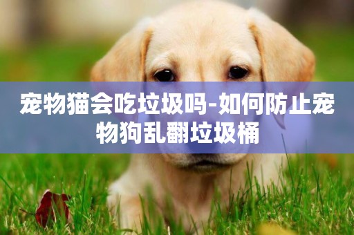 寵物貓會吃垃圾嗎-如何防止寵物狗亂翻垃圾桶