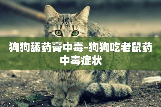 狗狗舔藥膏中毒-狗狗吃老鼠藥中毒癥狀