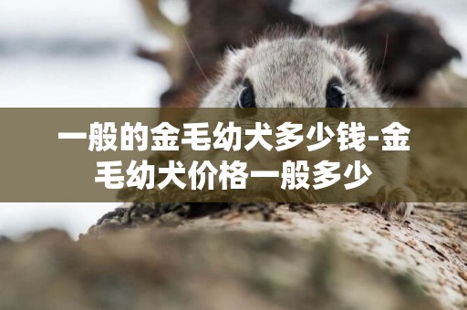 一般的金毛幼犬多少錢-金毛幼犬價格一般多少