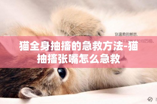 貓全身抽搐的急救方法-貓抽搐張嘴怎么急救