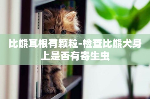 比熊耳根有顆粒-檢查比熊犬身上是否有寄生蟲