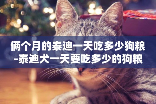 倆個月的泰迪一天吃多少狗糧-泰迪犬一天要吃多少的狗糧
