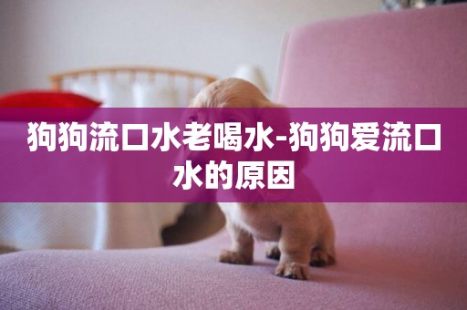 狗狗流口水老喝水-狗狗愛流口水的原因