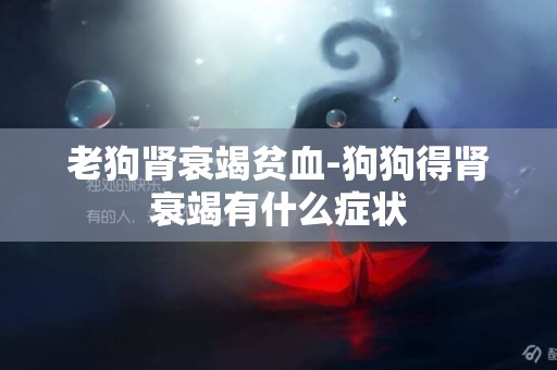 老狗腎衰竭貧血-狗狗得腎衰竭有什么癥狀