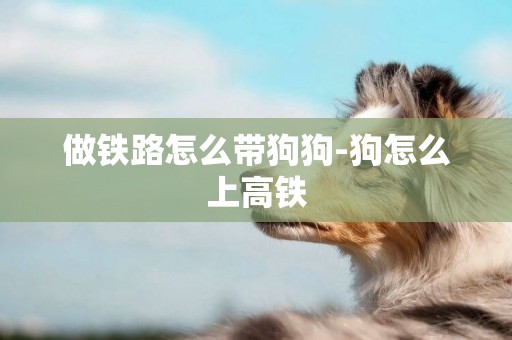 做鐵路怎么帶狗狗-狗怎么上高鐵