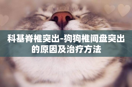 科基脊椎突出-狗狗椎間盤突出的原因及治療方法