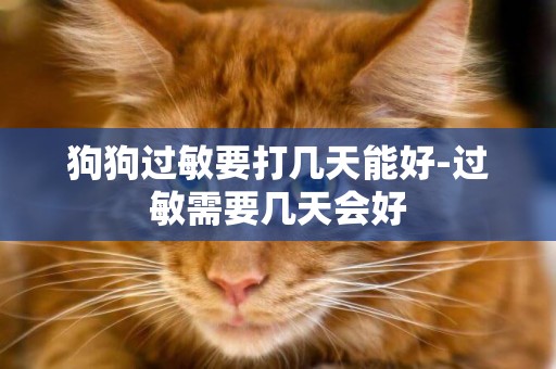 狗狗過敏要打幾天能好-過敏需要幾天會好