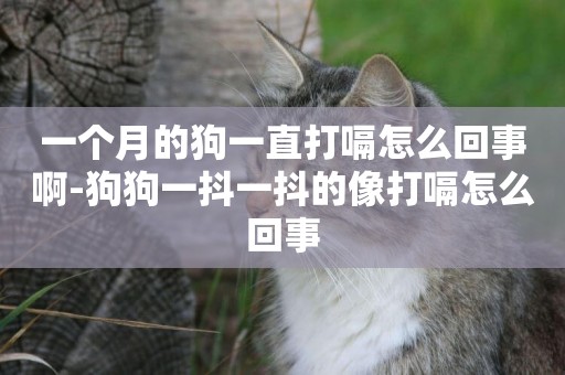 一個月的狗一直打嗝怎么回事啊-狗狗一抖一抖的像打嗝怎么回事
