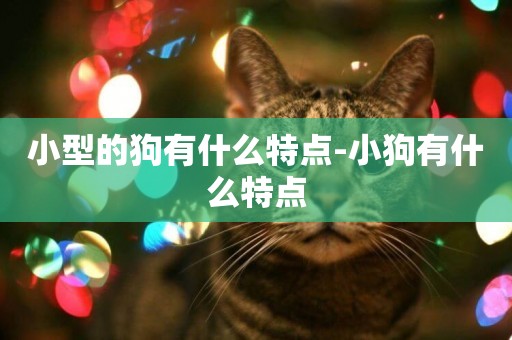 小型的狗有什么特點-小狗有什么特點