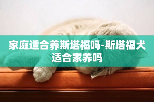 家庭適合養斯塔福嗎-斯塔福犬適合家養嗎
