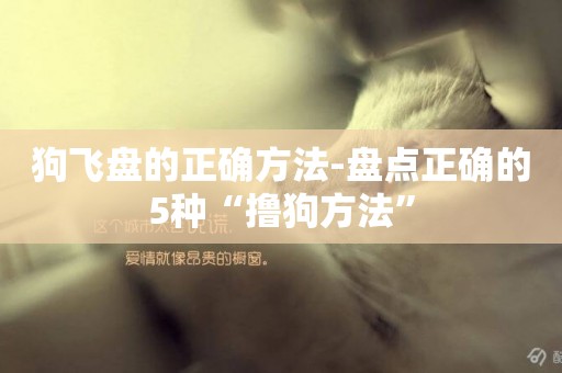 狗飛盤的正確方法-盤點正確的5種“擼狗方法”