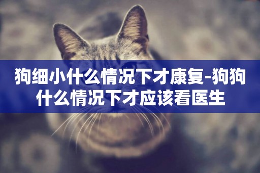 狗細小什么情況下才康復-狗狗什么情況下才應該看醫生