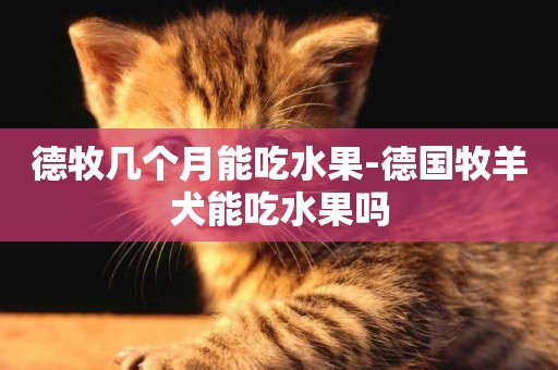 德牧幾個月能吃水果-德國牧羊犬能吃水果嗎