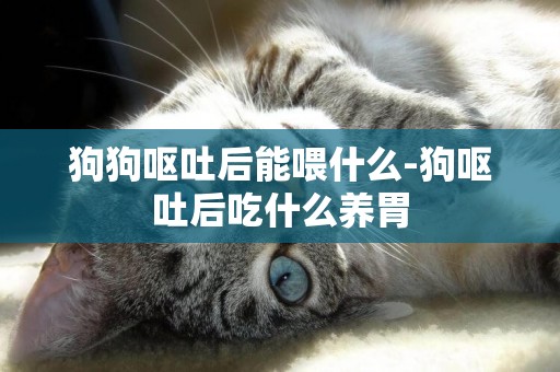 狗狗嘔吐后能喂什么-狗嘔吐后吃什么養胃