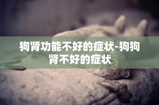 狗腎功能不好的癥狀-狗狗腎不好的癥狀